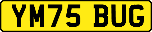 YM75BUG