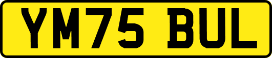 YM75BUL