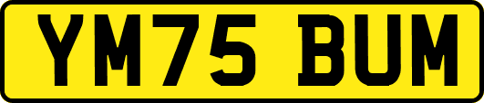 YM75BUM