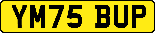YM75BUP