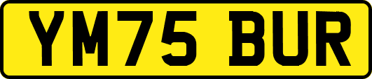 YM75BUR