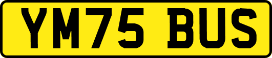 YM75BUS