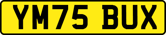 YM75BUX