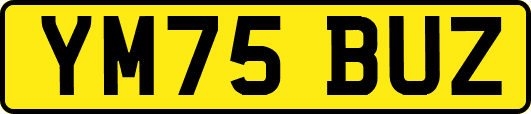 YM75BUZ