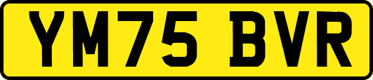 YM75BVR