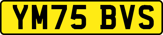 YM75BVS