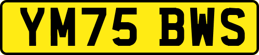 YM75BWS