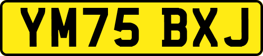 YM75BXJ