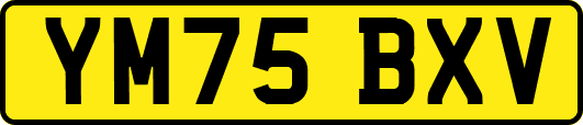 YM75BXV