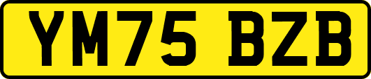YM75BZB