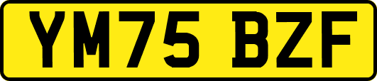 YM75BZF