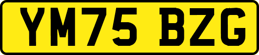 YM75BZG