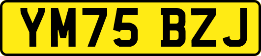 YM75BZJ