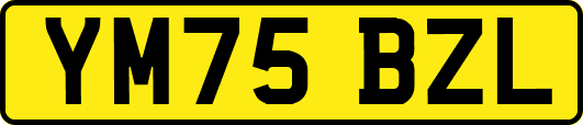 YM75BZL