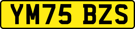YM75BZS