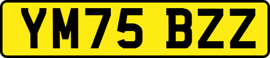 YM75BZZ