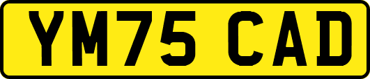 YM75CAD