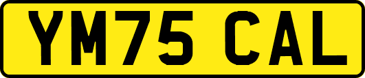 YM75CAL