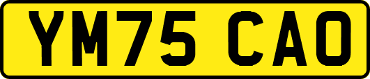 YM75CAO