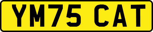 YM75CAT