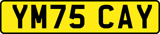 YM75CAY