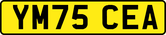 YM75CEA