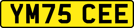YM75CEE