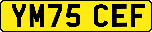 YM75CEF