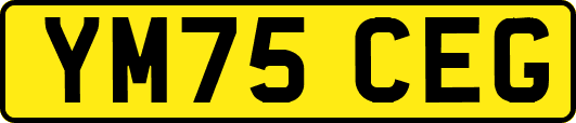 YM75CEG
