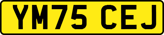 YM75CEJ