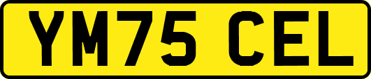 YM75CEL