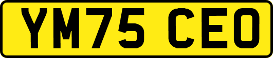 YM75CEO