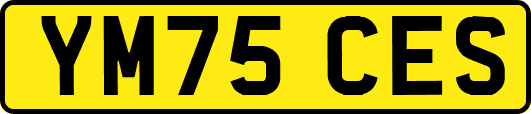 YM75CES