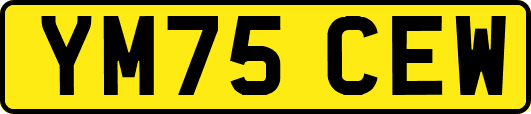 YM75CEW