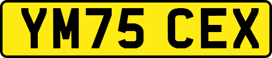 YM75CEX