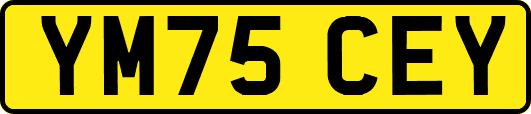 YM75CEY