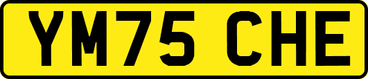 YM75CHE