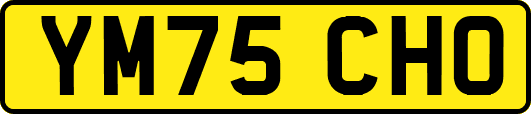 YM75CHO
