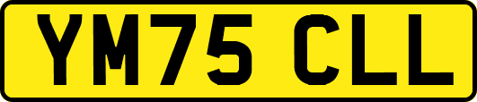 YM75CLL
