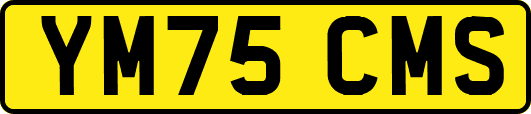 YM75CMS