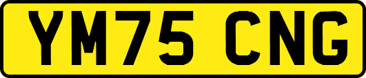 YM75CNG