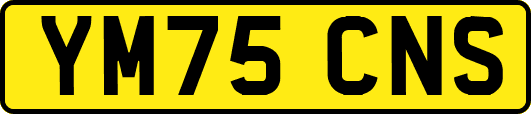 YM75CNS