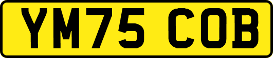 YM75COB