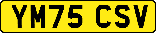 YM75CSV