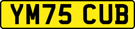 YM75CUB