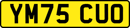 YM75CUO