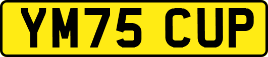 YM75CUP