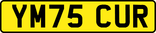 YM75CUR