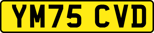 YM75CVD