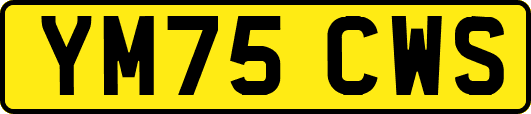 YM75CWS